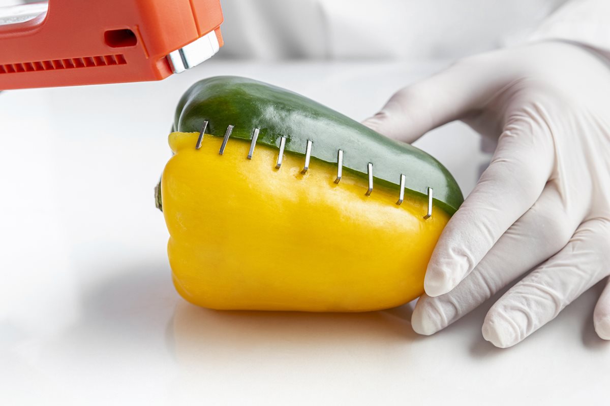 „Brojení proti GMO nechápu,“ říká vědec. Vysvětlujeme souvislosti kolem genetické modifikace organismů