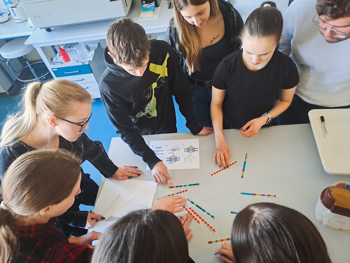 Popularizace vědy v praxi: Studenti objevovali tajemství DNA v naší laboratoři
