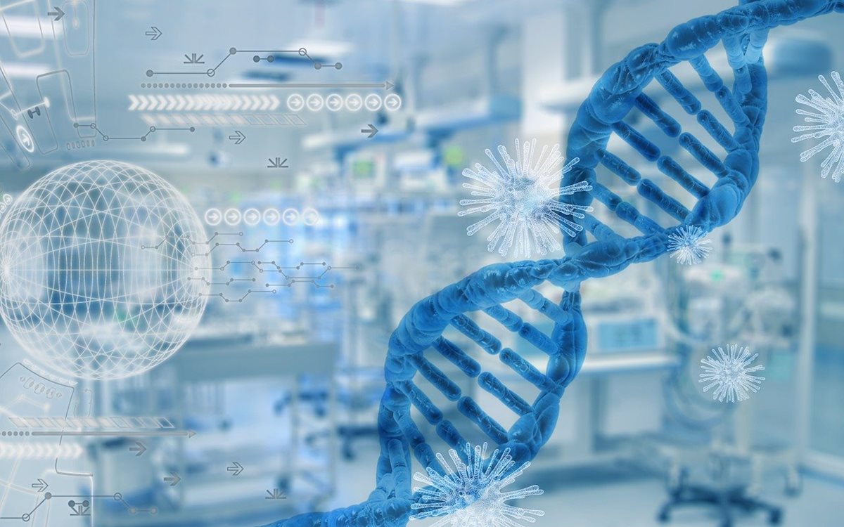 Geneticky modifikované plodiny: Jak velkou cestu ušel člověk?