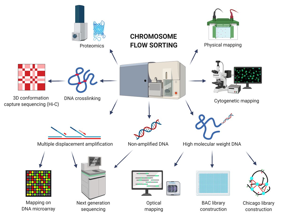 New publication: Chromosome genomics uncovers plant genome organization and function
