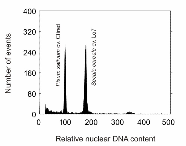 New publication: One major challenge of sequencing large plant genomes is to know how big they really are