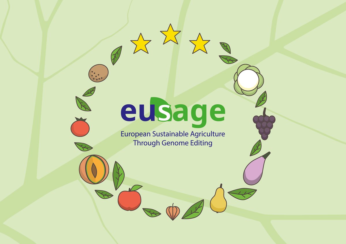 European scientists Scientists call upon EU for changes in legislation regarding new methods of plant genome editing