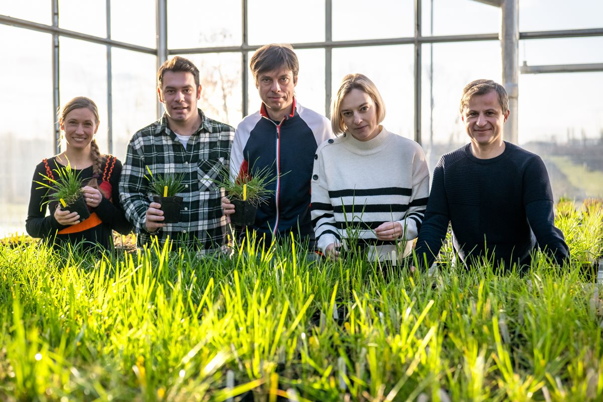Čro PLUS: Objev olomouckých vědců usnadní šlechtění a adaptaci na změnu klimatu