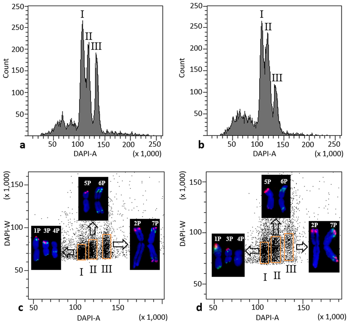 New publication: Dissecting the complex genome of crested wheatgrass by chromosome flow sorting