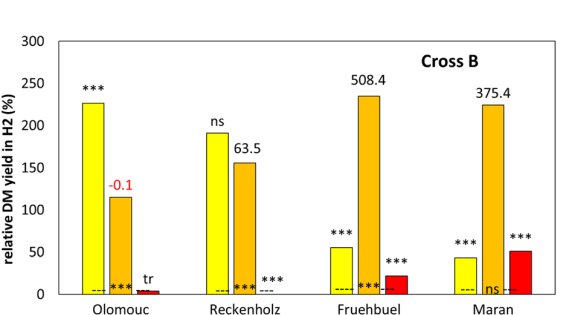 New publication: Triploid forage grass hybrids Festuca apennina 3 F. pratensis display extraordinary heterosis for yield characteristics