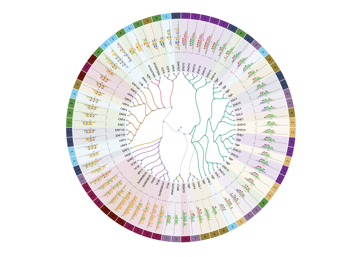 New publication: Core promoterome of barley embryo